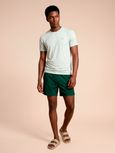 Lade das Bild in den Galerie-Viewer, Model Front: Uv Line T-Shirts Für Herren T-Shirt Uvpro Masc Light Green Upf50+
